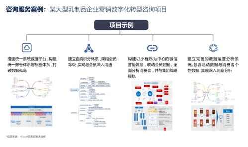 營銷數字化轉型 以咨詢能力激發技術與產品的真正價值